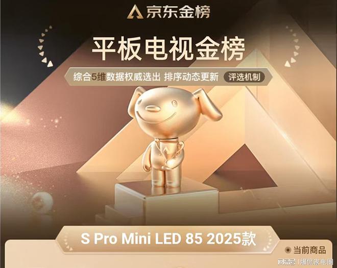 名：小米第2华为垫底最大赢家竟不是TCLAG真人app2025电视品牌排行前十(图6)