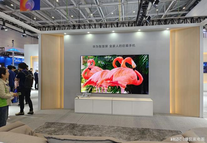 名：小米第2华为垫底最大赢家竟不是TCLAG真人app2025电视品牌排行前十(图16)